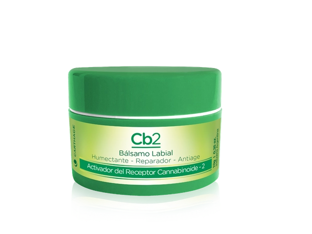 Cb2 Balsamo labial 10 g
