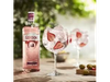 GIN GORDONS PINK