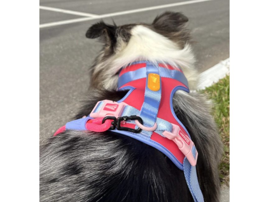 Comfort Harness Pink