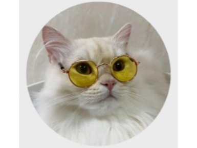 Anteojos para mascotas