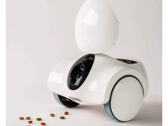 Robot con cámara y mando a distancia con dispenser de comida