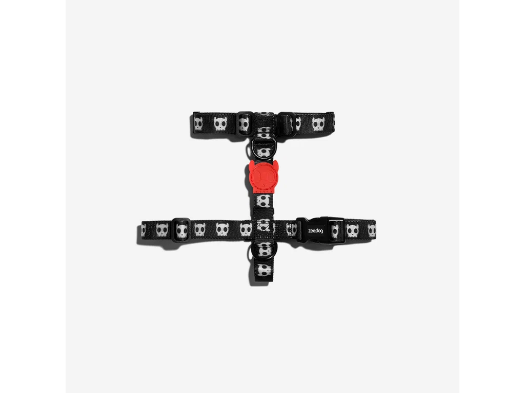 Skull 2.0 H-Harness