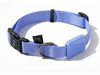 Dog Collar Violeta