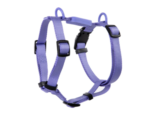 Ajustable Dog H Harness Violeta