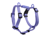 Ajustable Dog H Harness Violeta