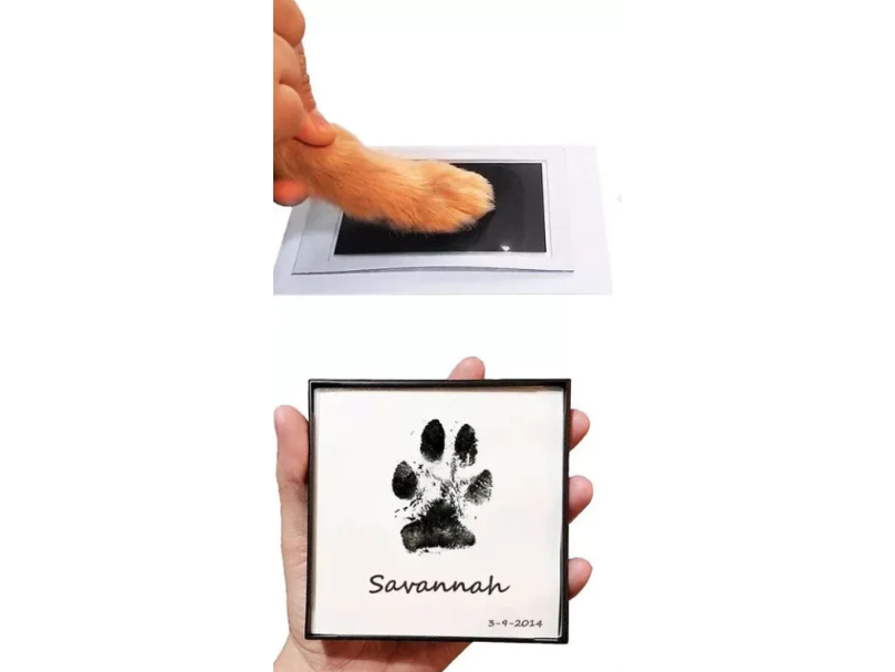 Kit imprimible huella para mascotas 12,7cm