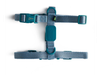Ajust Dog H Harness Glow Walk Light Blue