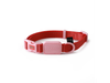 Dog Collar Glow Walk Pink