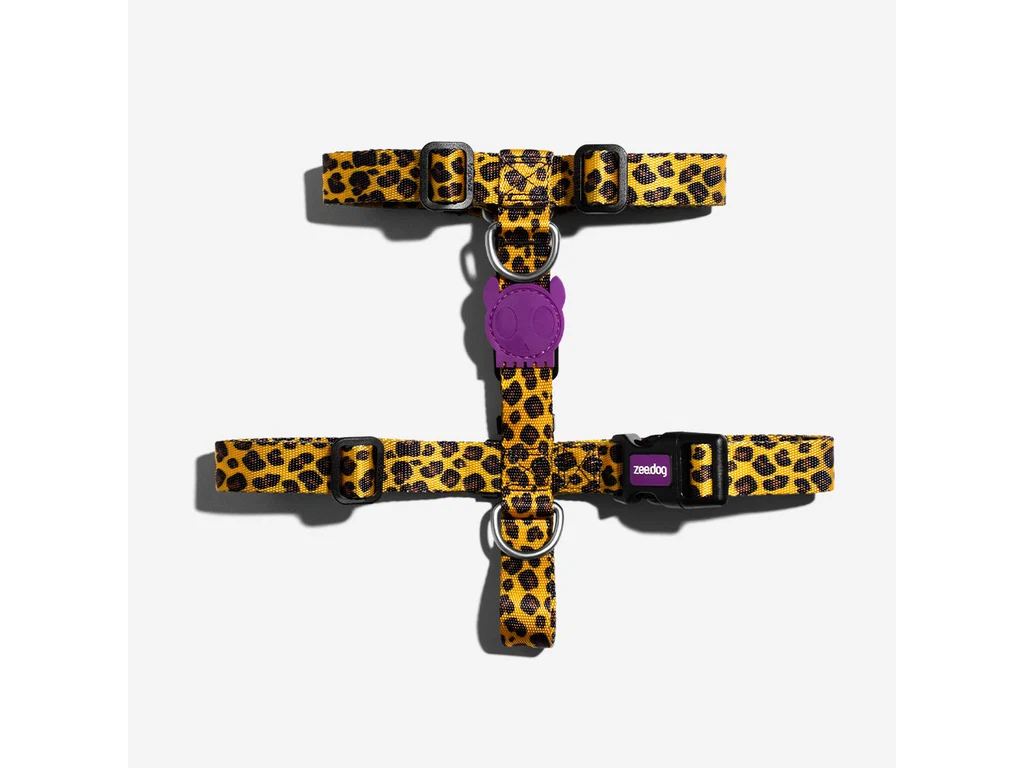 Honey H-Harness