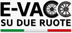 Logo e-vacc