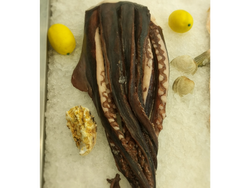 TENTACULOS DE JIBIA precio x kg