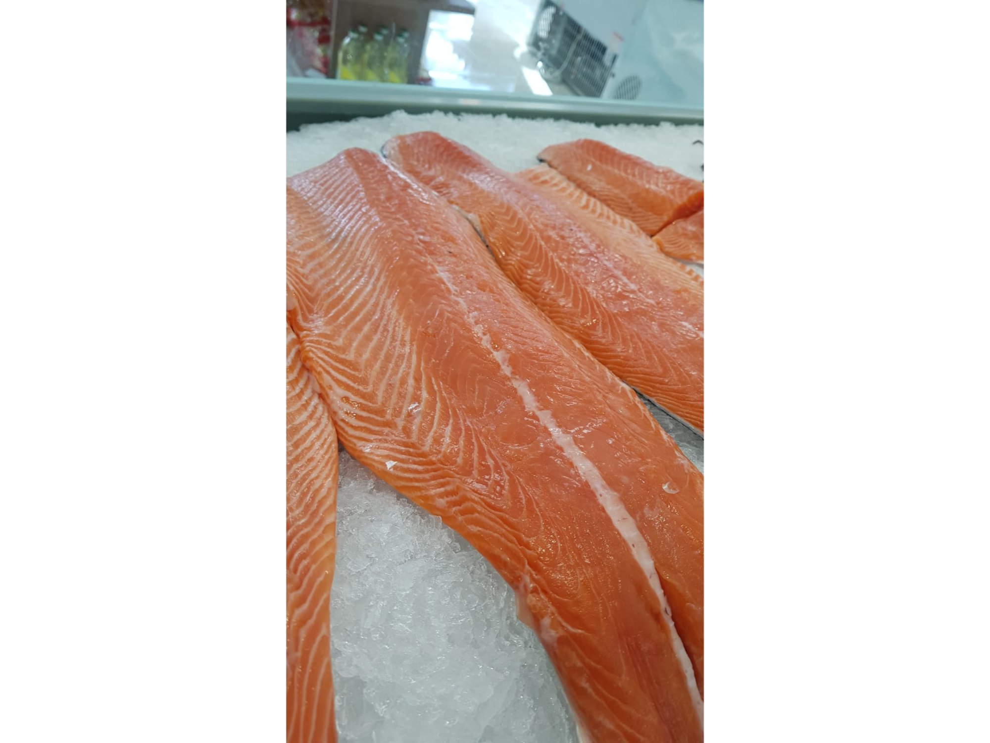 FILET SALMON ROSADO precio x kg