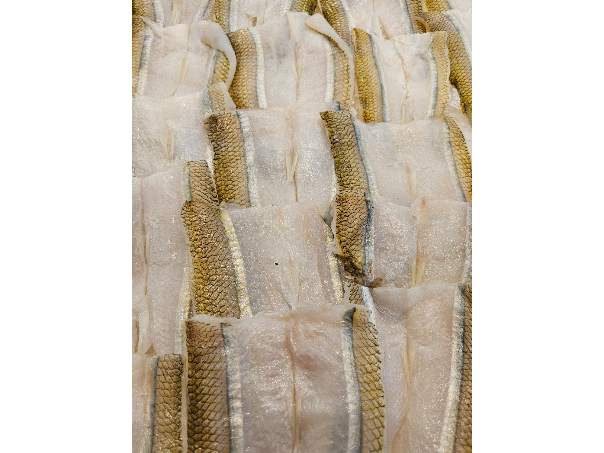 FILET DE PEJERREY precio x kg de Barracuda Fish Market Gauss