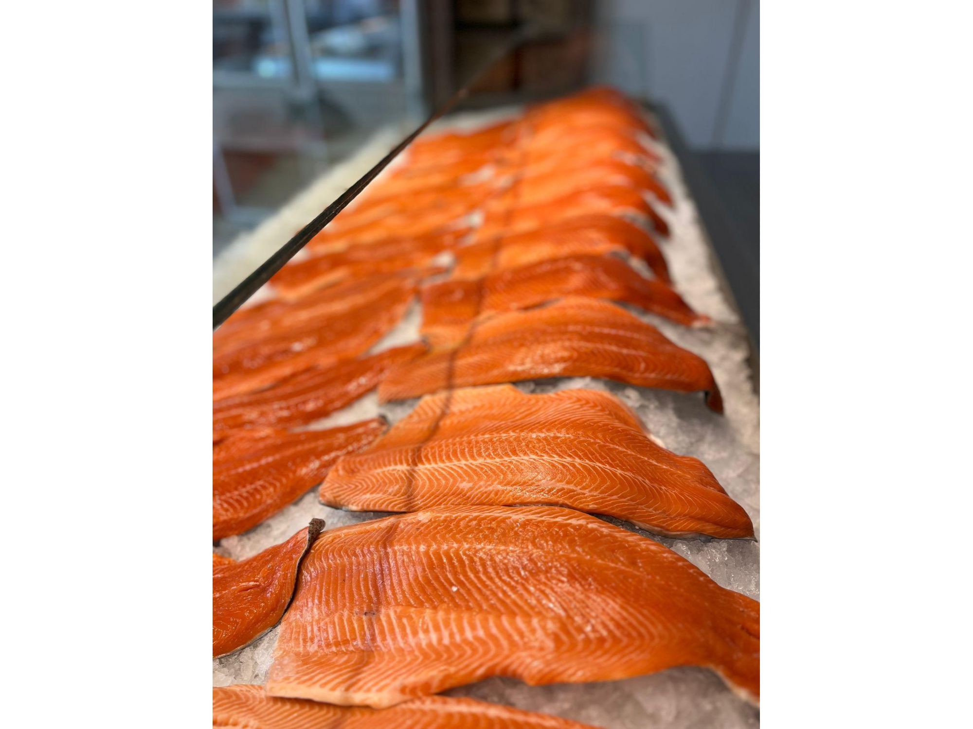 FILET TRUCHA  PENCA GRANDE precio por kg