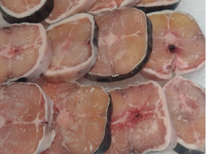 SURUBI RODAJA precio x kg