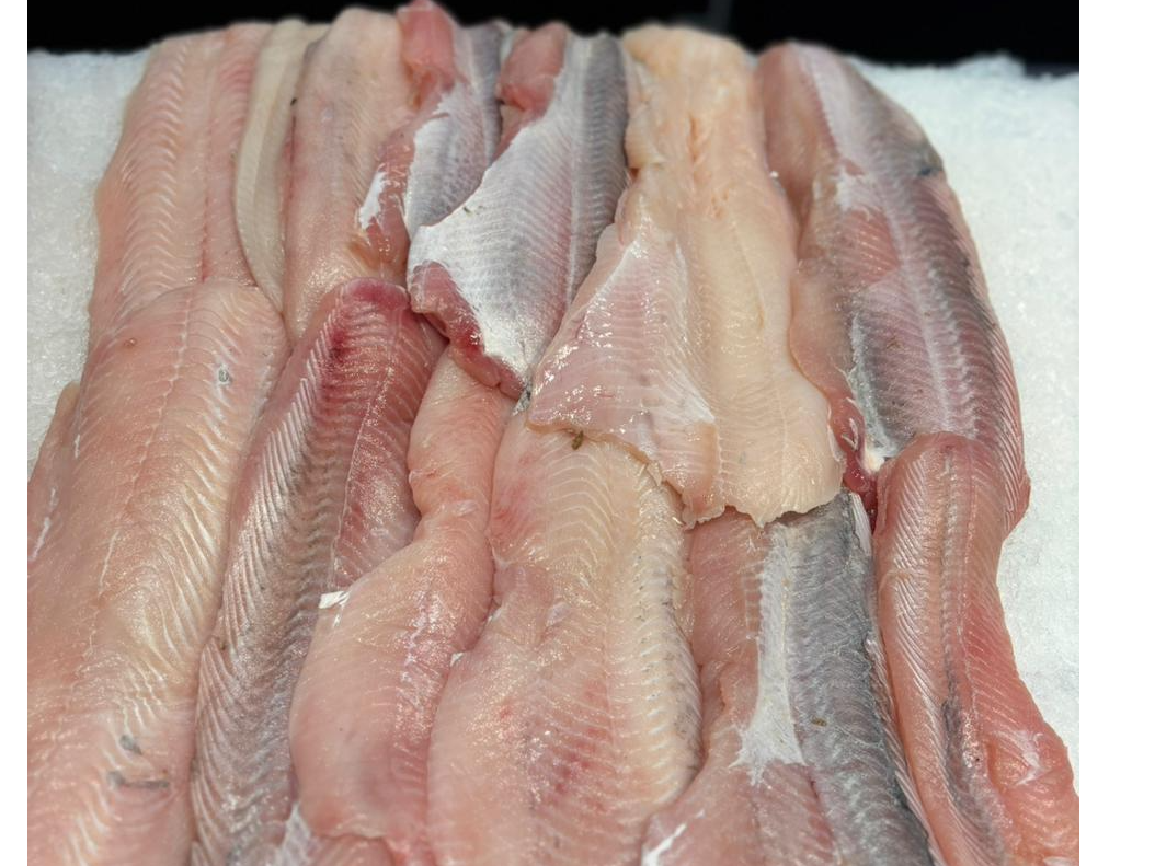 Filet Pez Gallo precio x kg