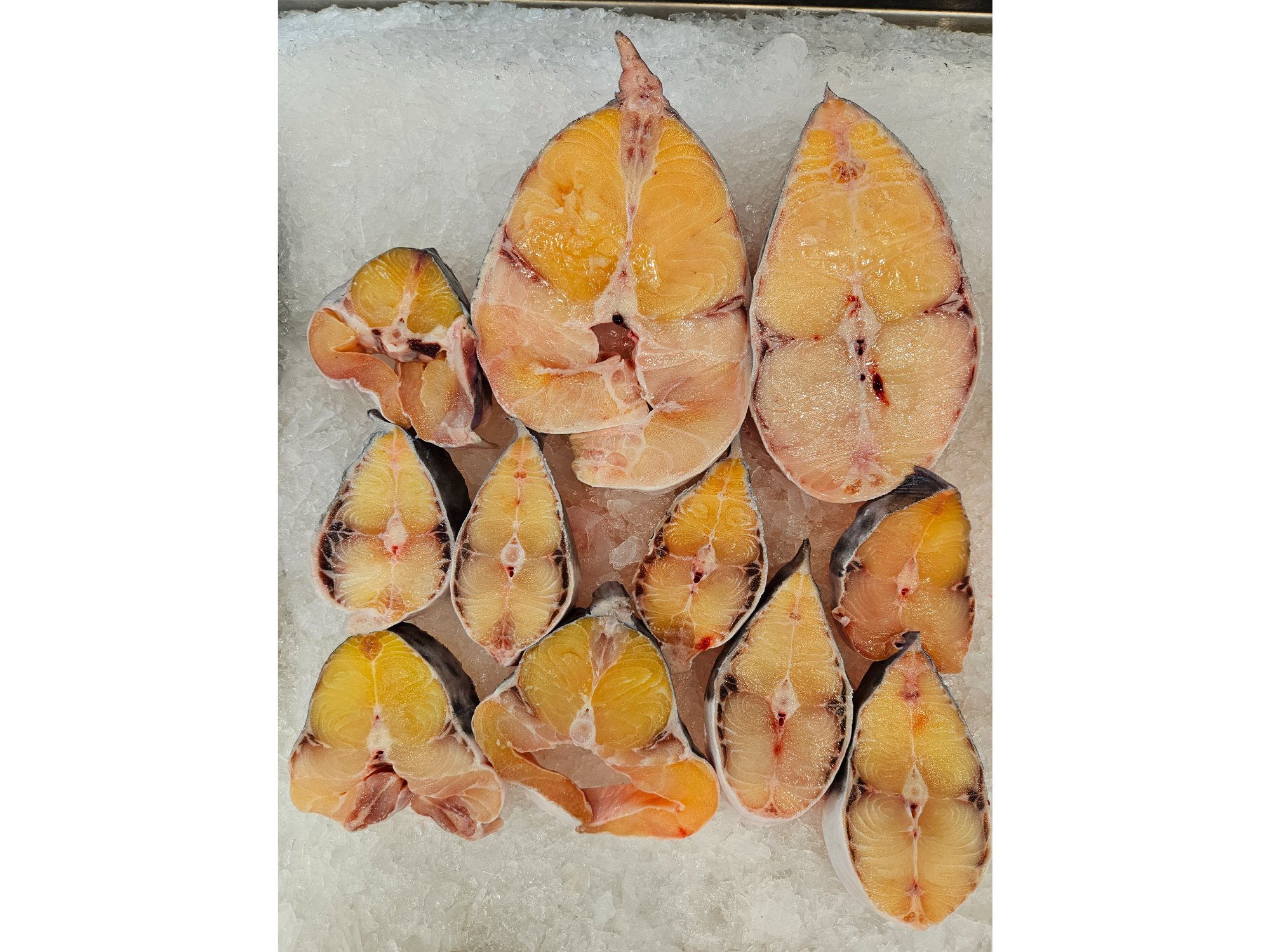 PATI RODAJA precio x kg