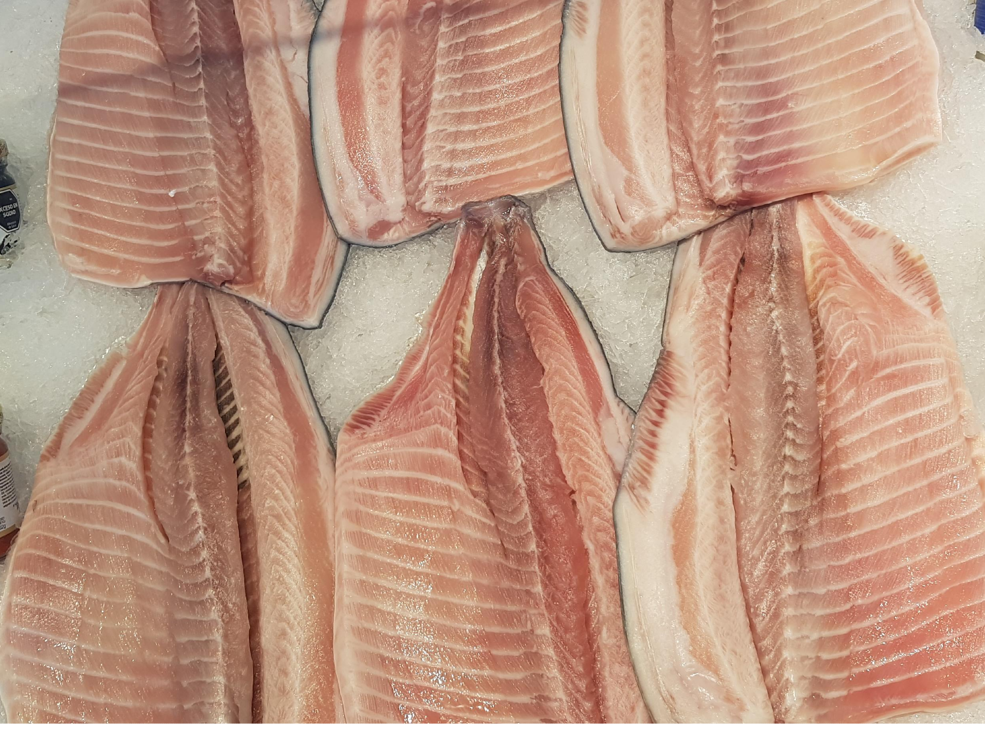 PACU FILET precio x kg