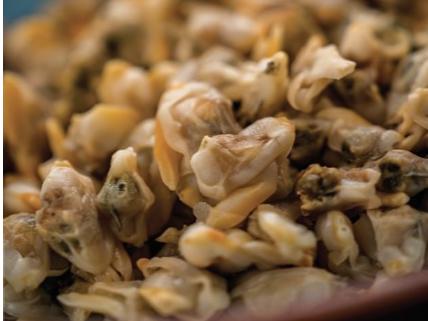 BERBERECHO precios x kilo