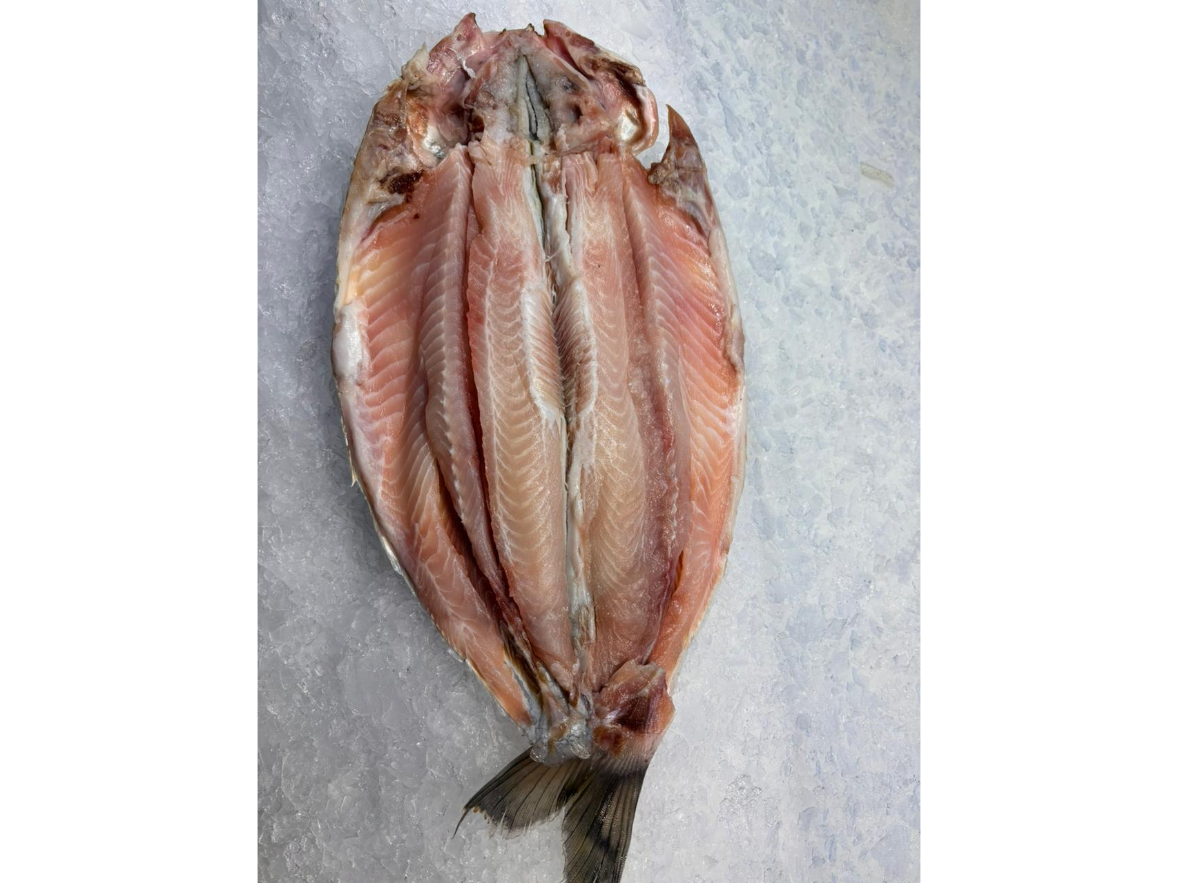 BOGA DESPINADA precio x kg