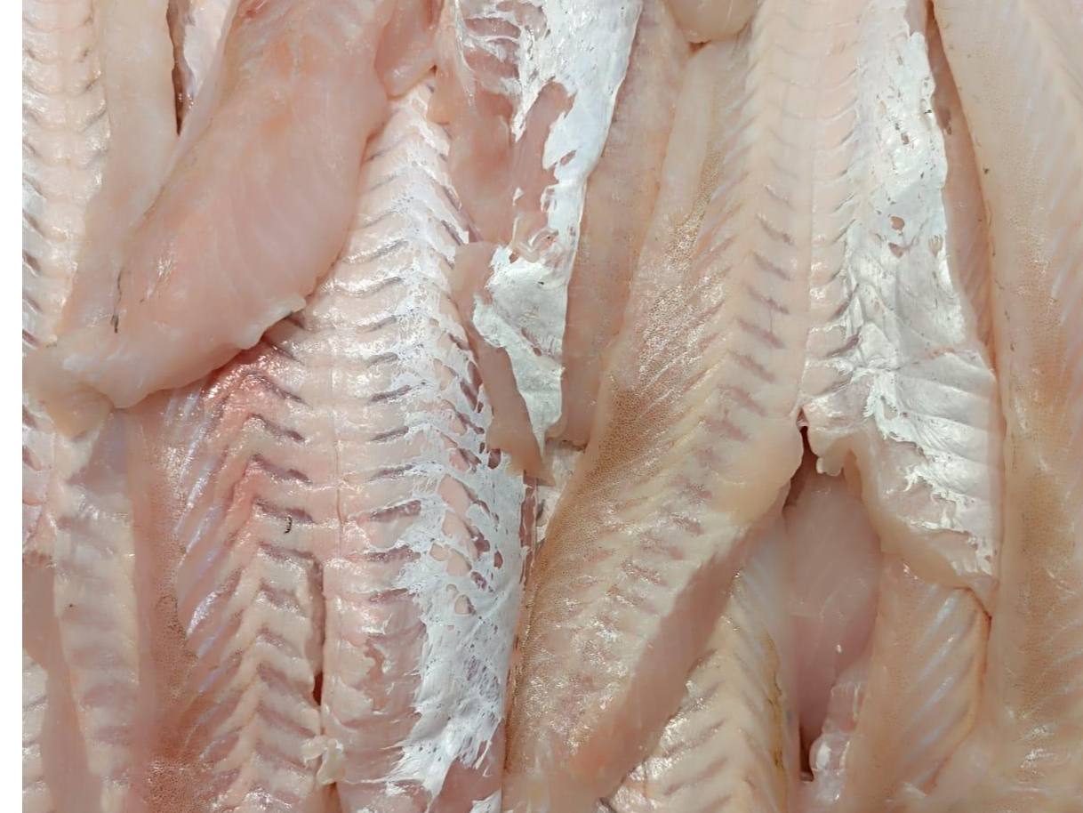 MERLUZA FILET precio x kg