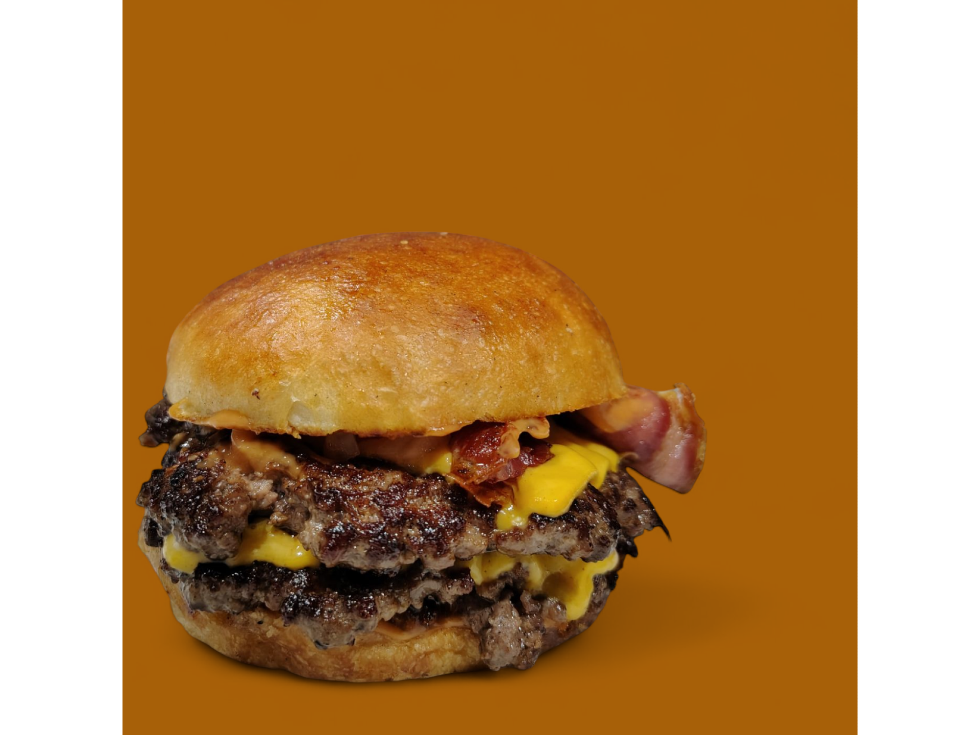 Cheese burguer