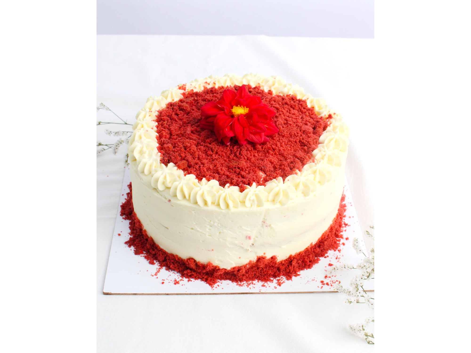 RED VELVET