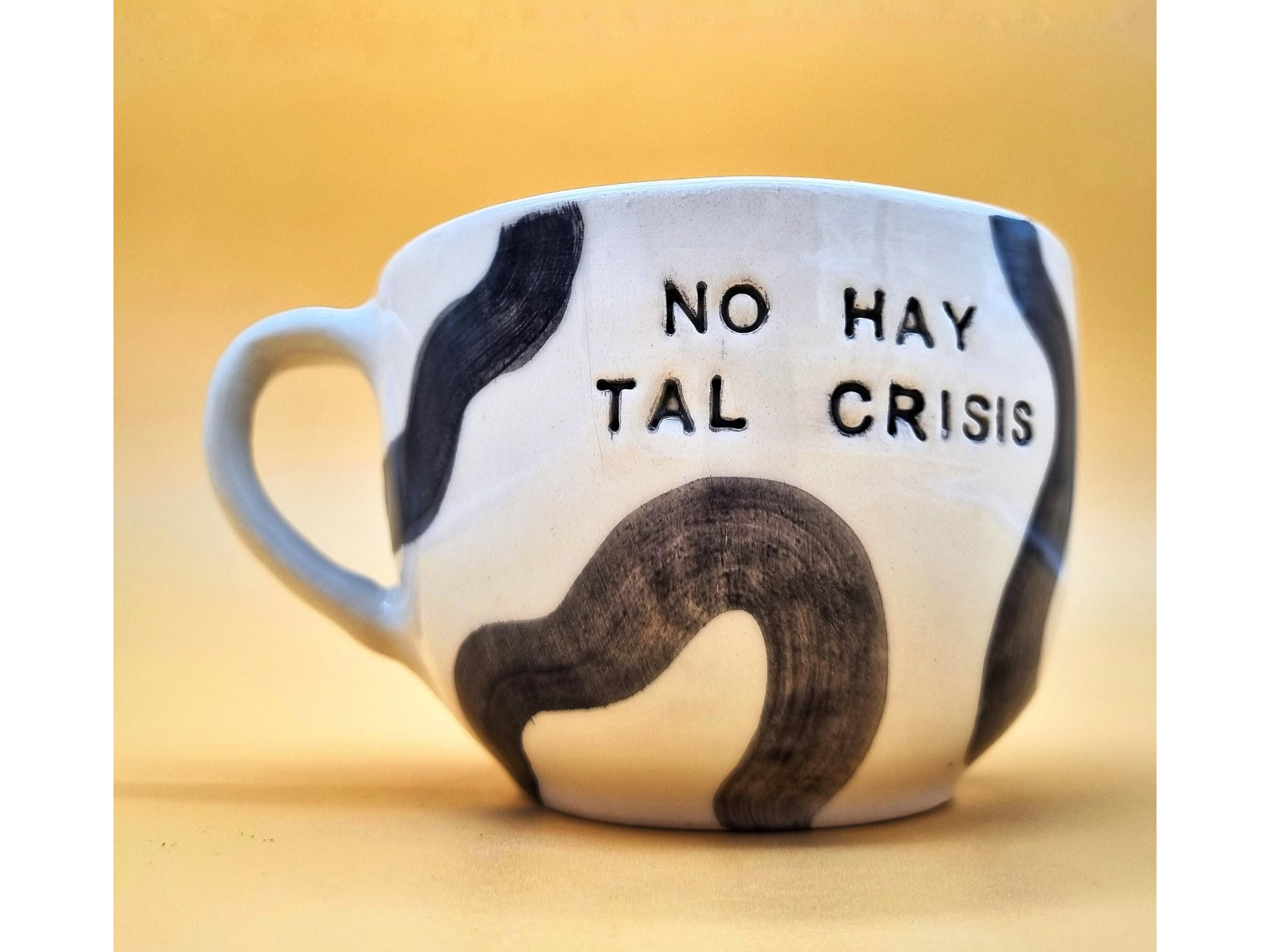 TAZON NO CRISIS