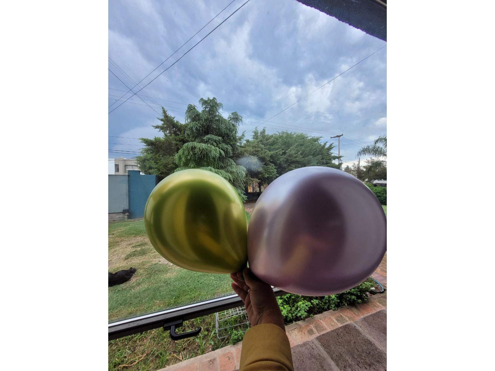 GLOBO LISO