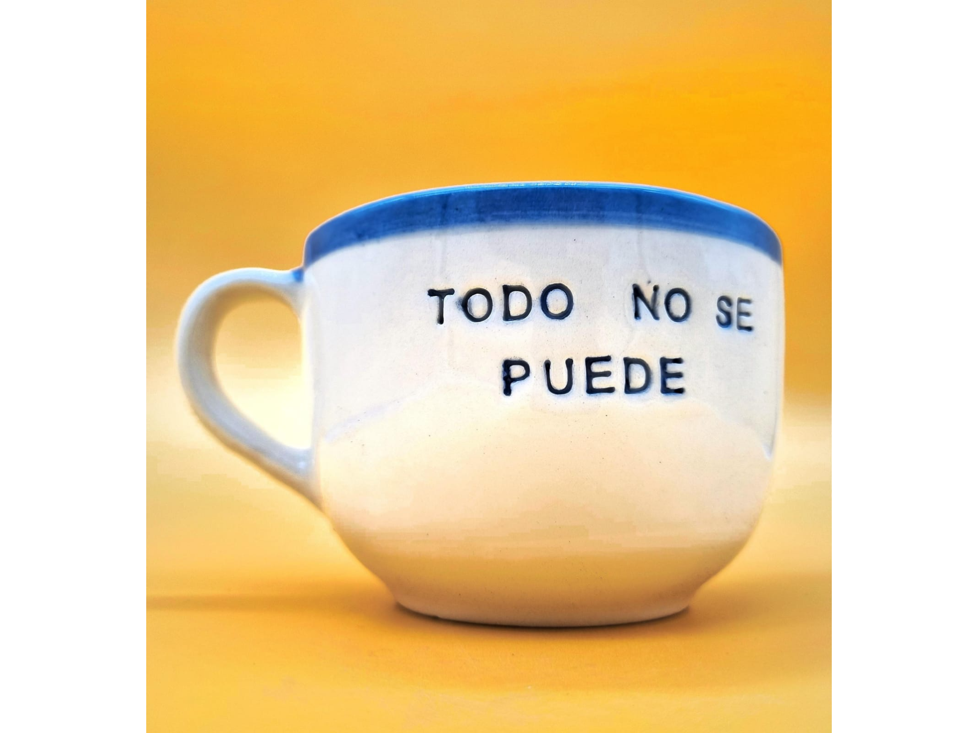 TAZON TODO NO SE PUEDE