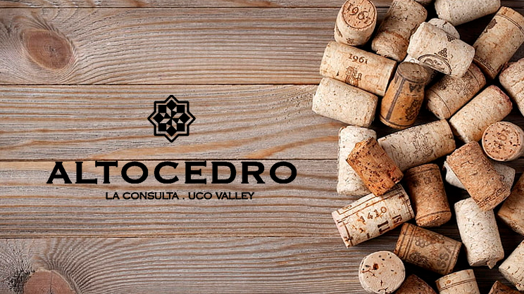 BODEGA ALTOCEDRO - La consulta - Valle de uco - Mendoza