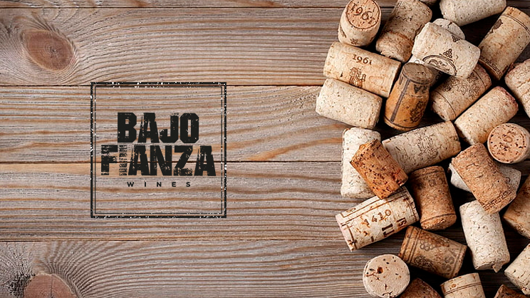 Bajo Fianza