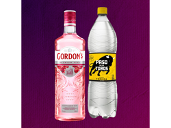 GORDONS PINK+ TONICA 1,5L