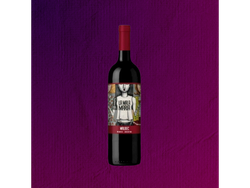 JOVEN LA MALA MARIA CABERNET FRANC