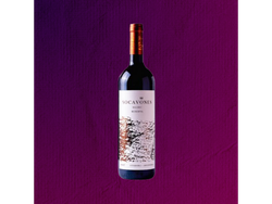SOCAVONES RESERVA MALBEC