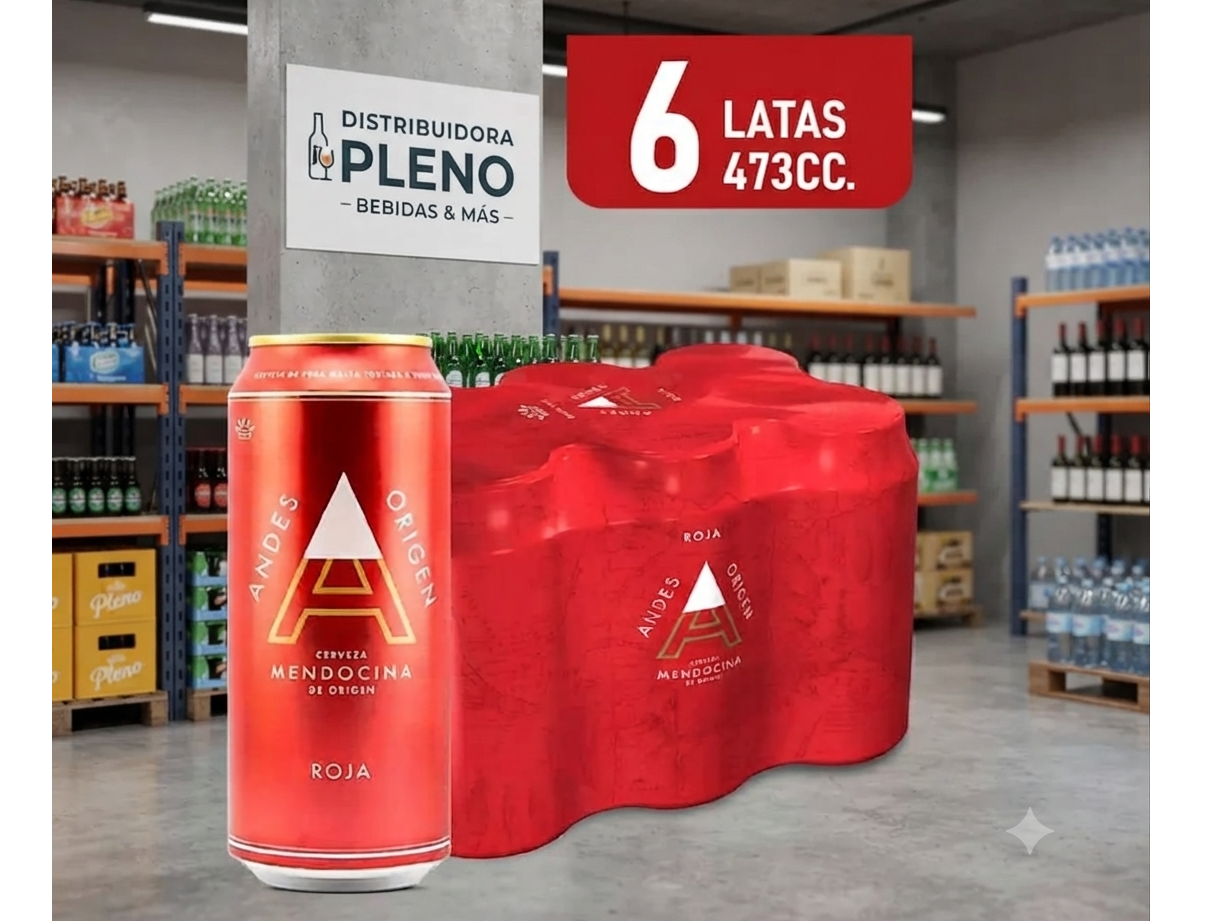 ANDES ROJA 473 ML PACK X 6