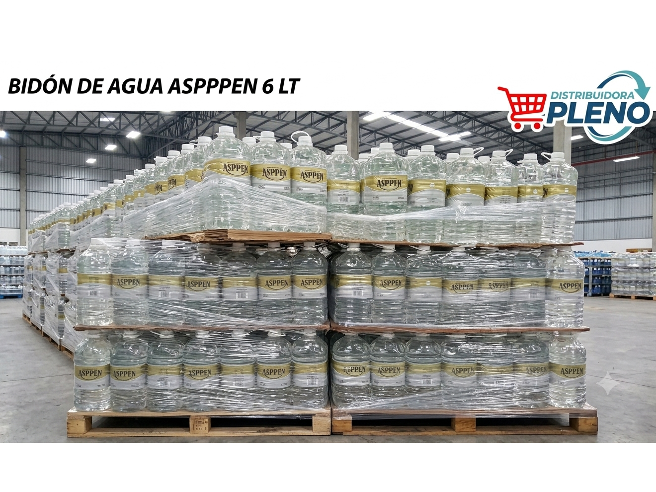 BIDÓN DE AGUA 6 LT