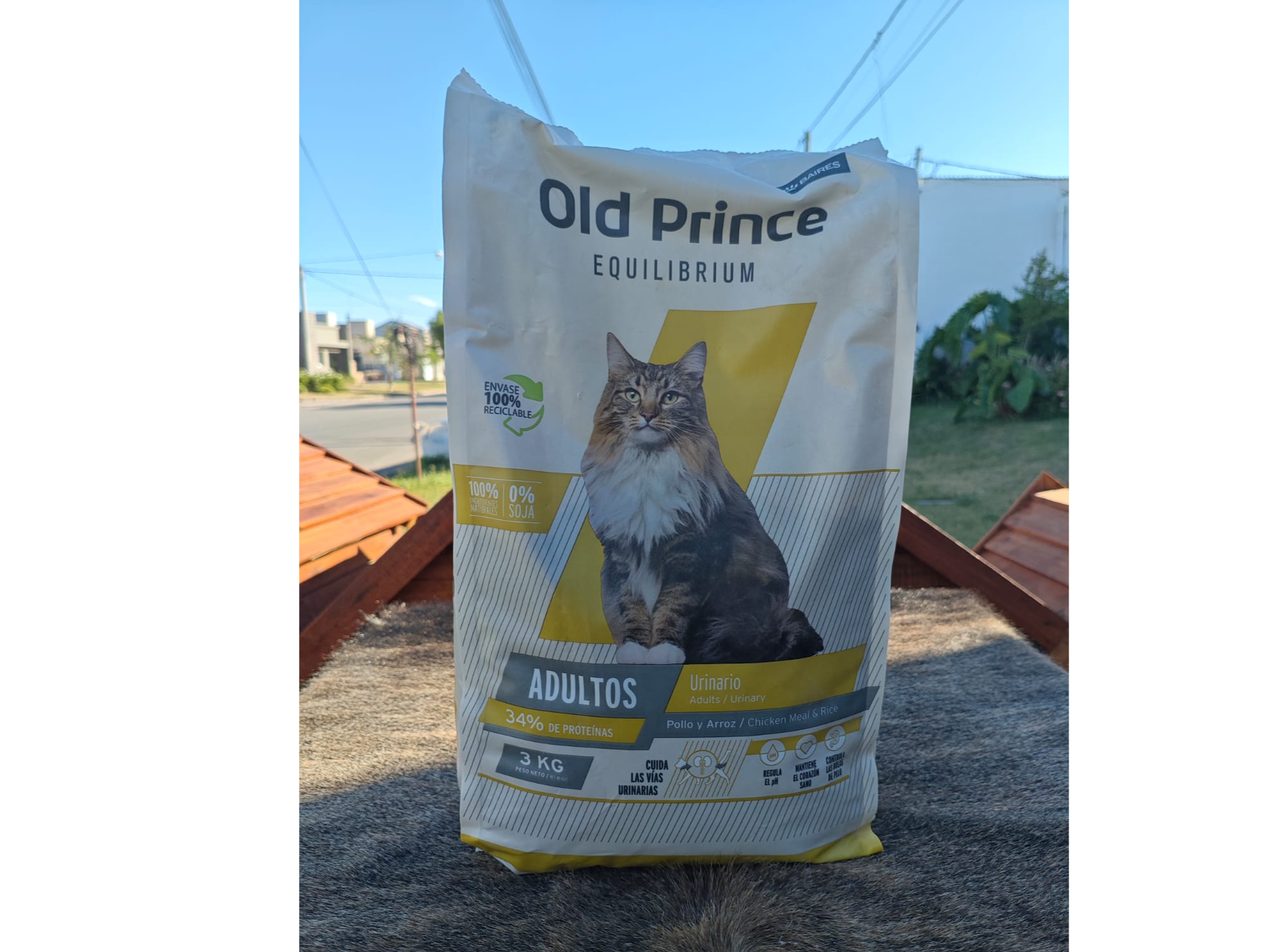 Old Prince Gato adulto urinario