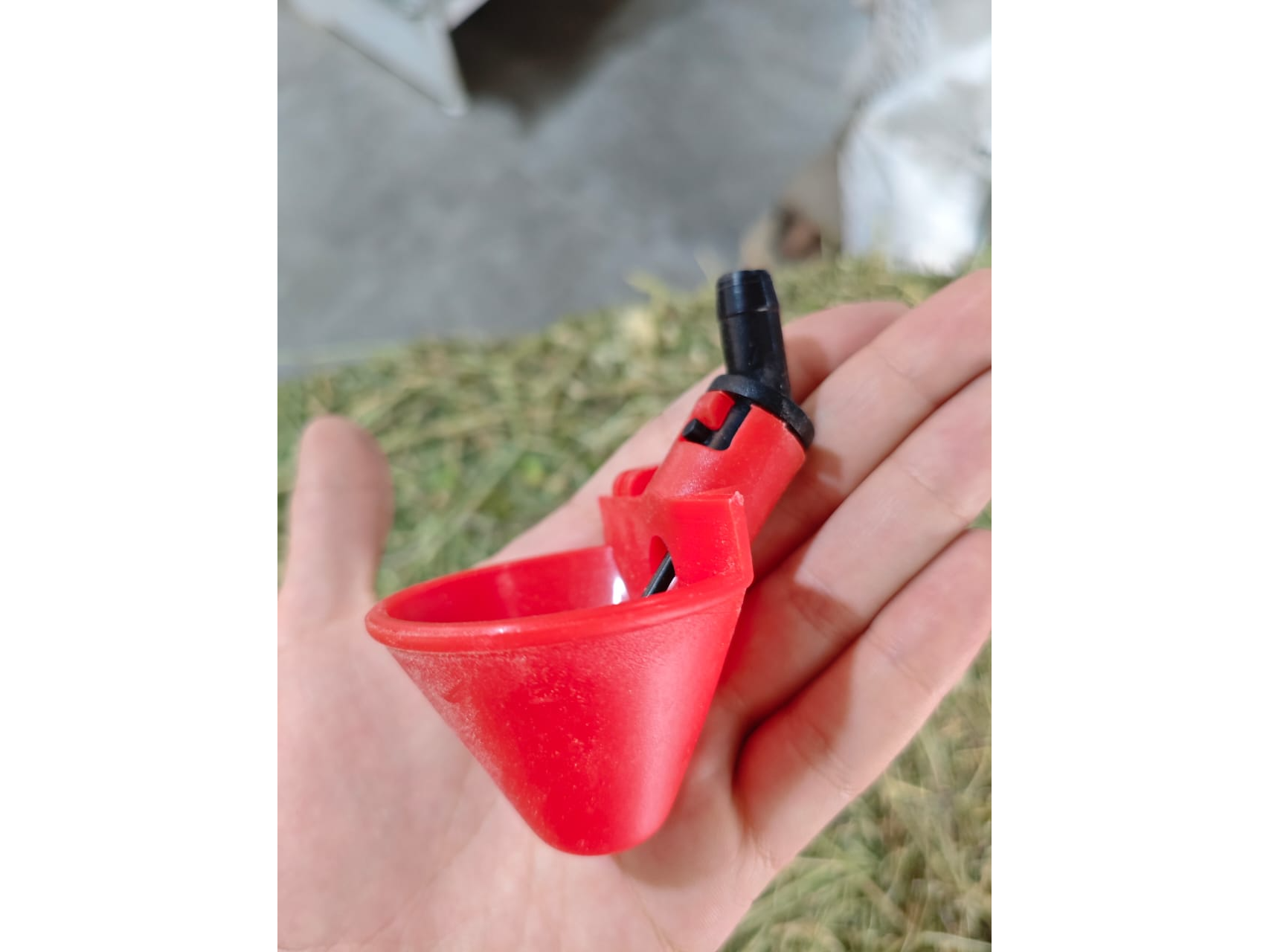 Bebedero copa automática