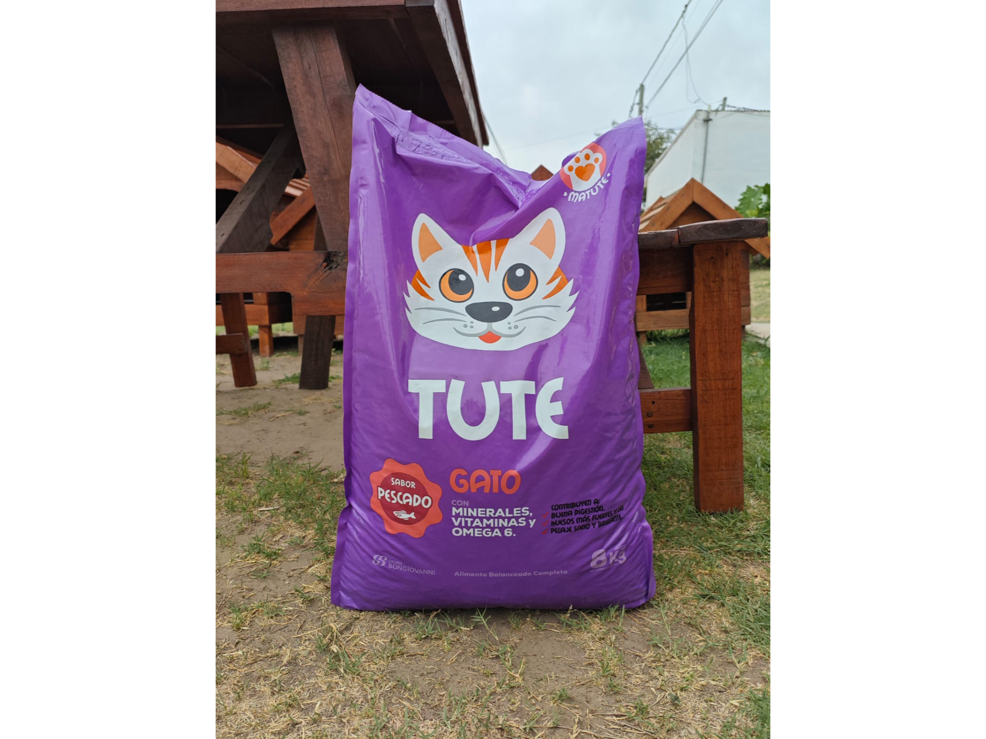 Tute gatos adultos