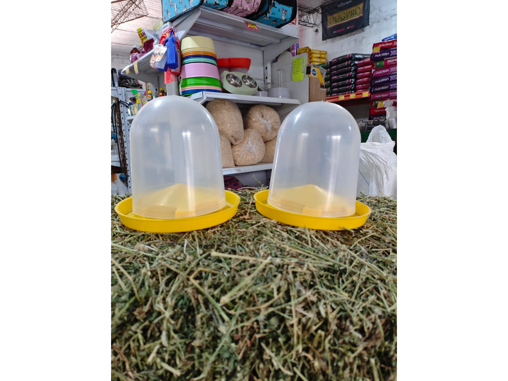 Comedero de piso x 1,5 kgs