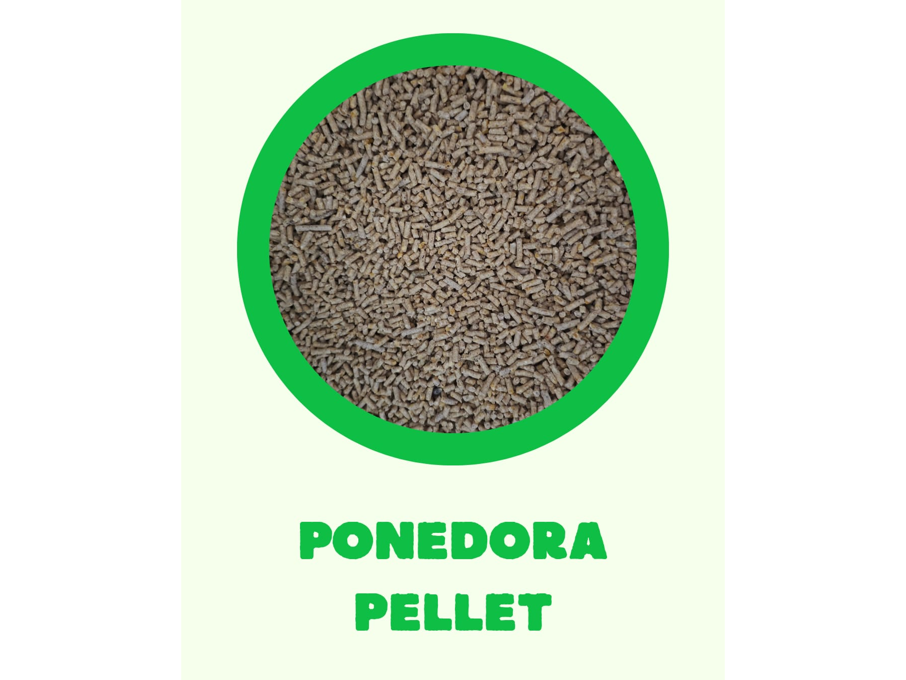 Ponedora postura pellet