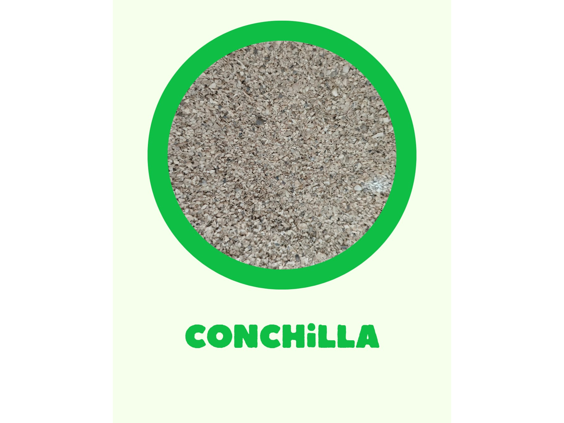 Conchilla