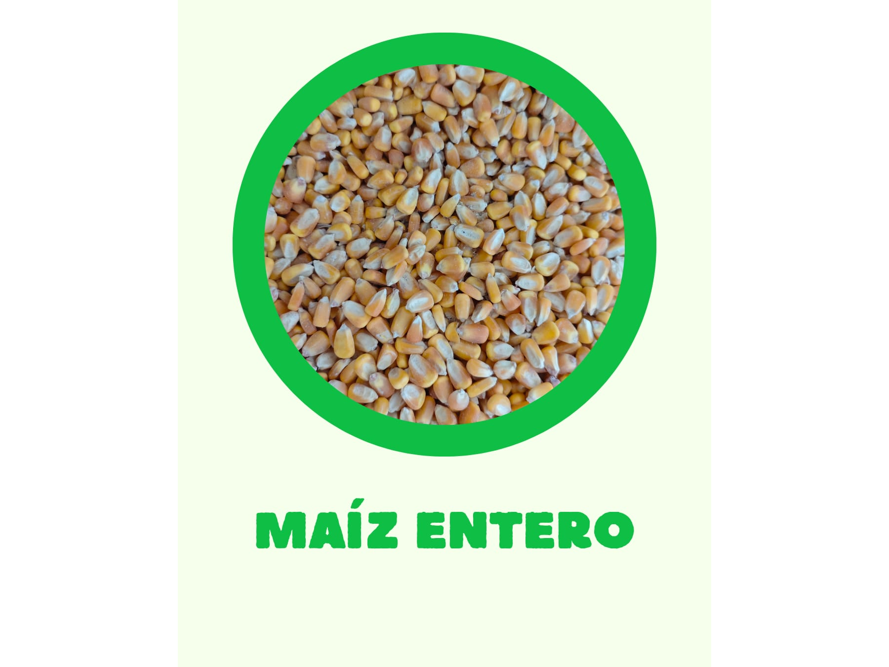 Maiz entero