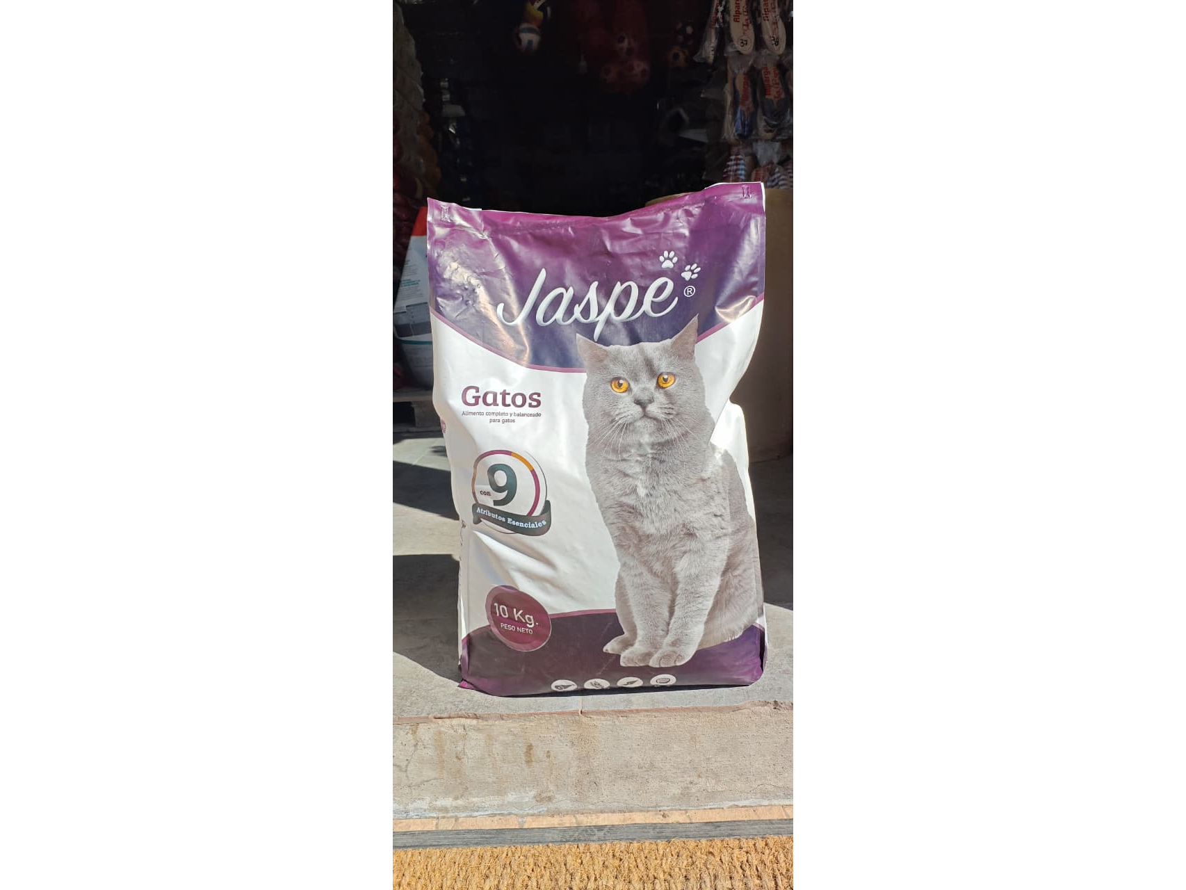Jaspe gato