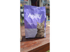 AGILITY CATS URINARY