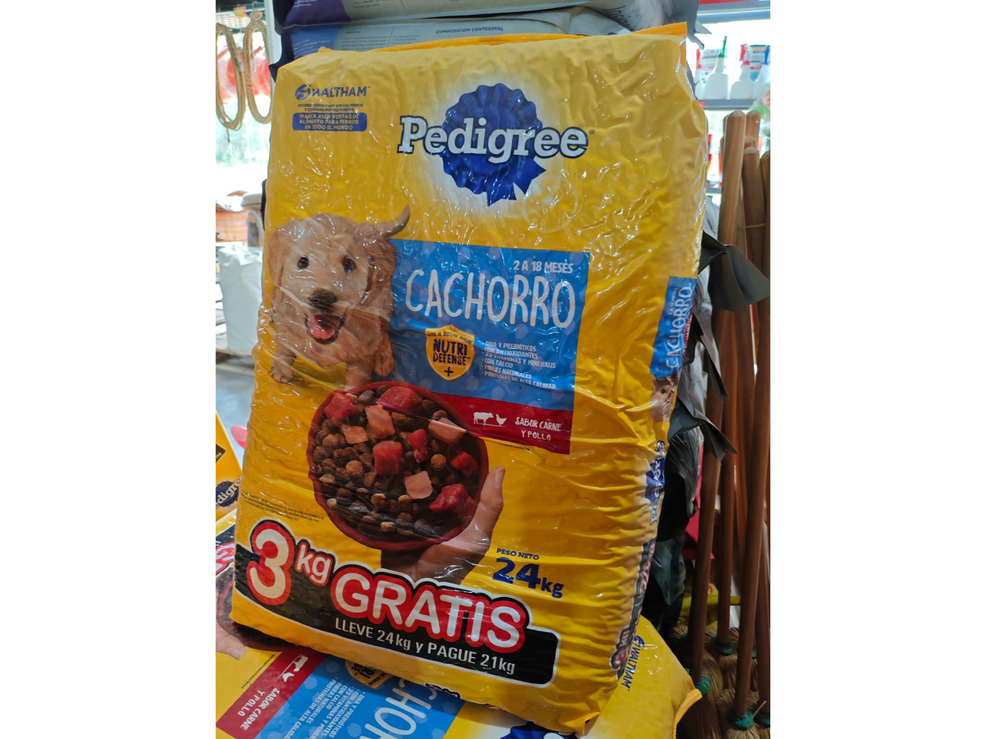 Pedigree Cachorro