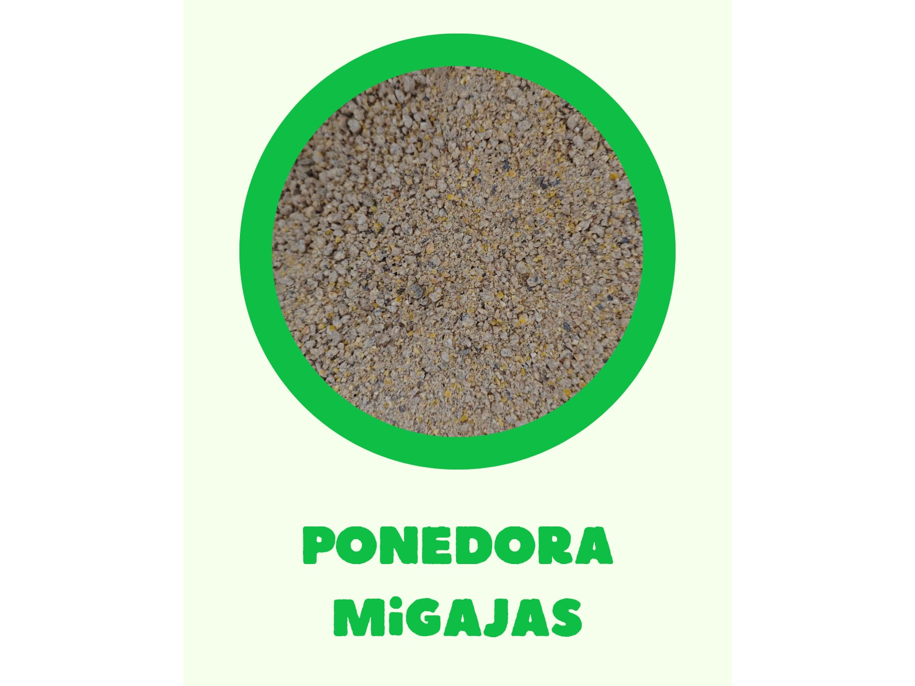 Ponedora postura migajas