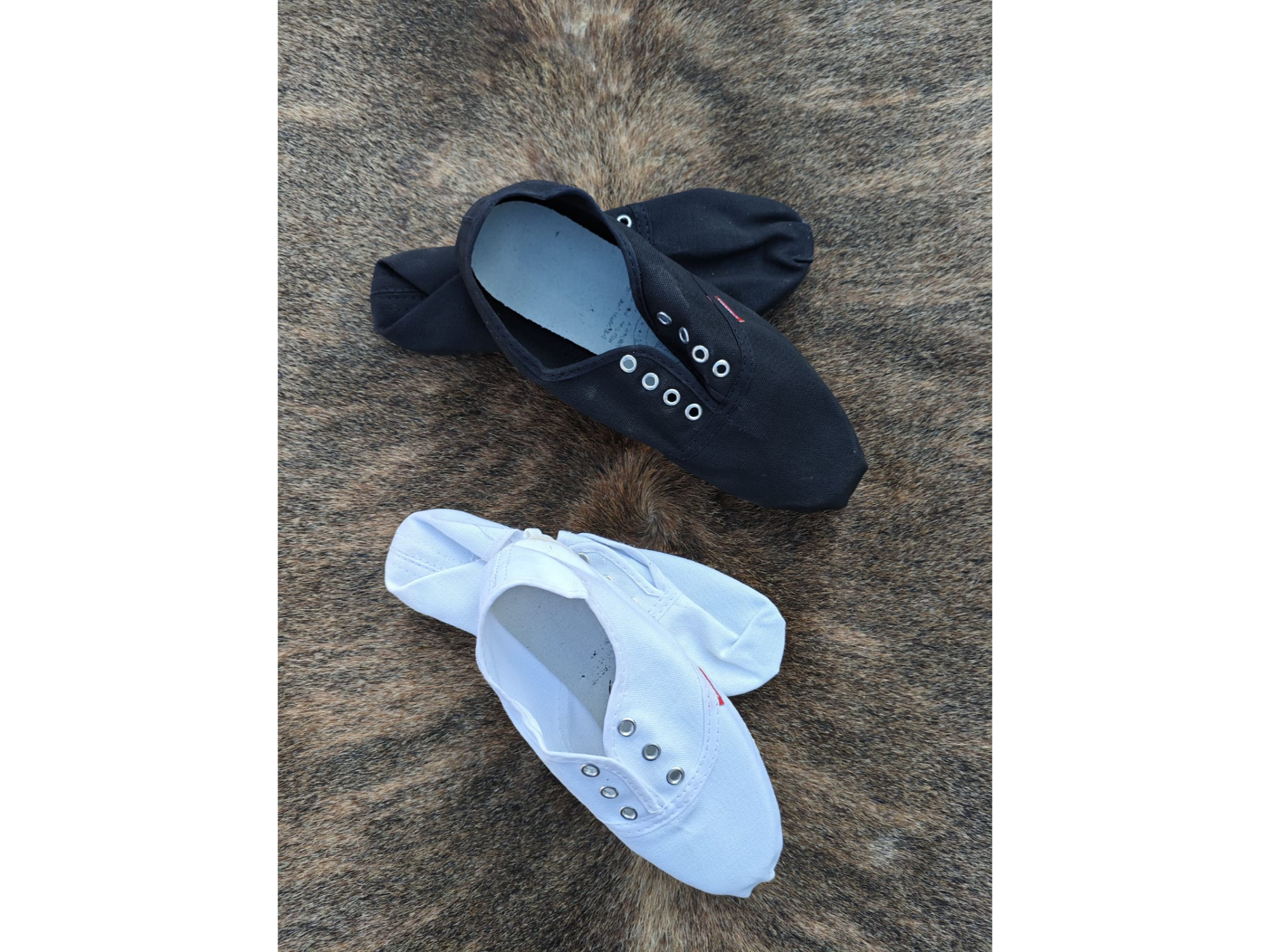 Alpargatas c/cordón