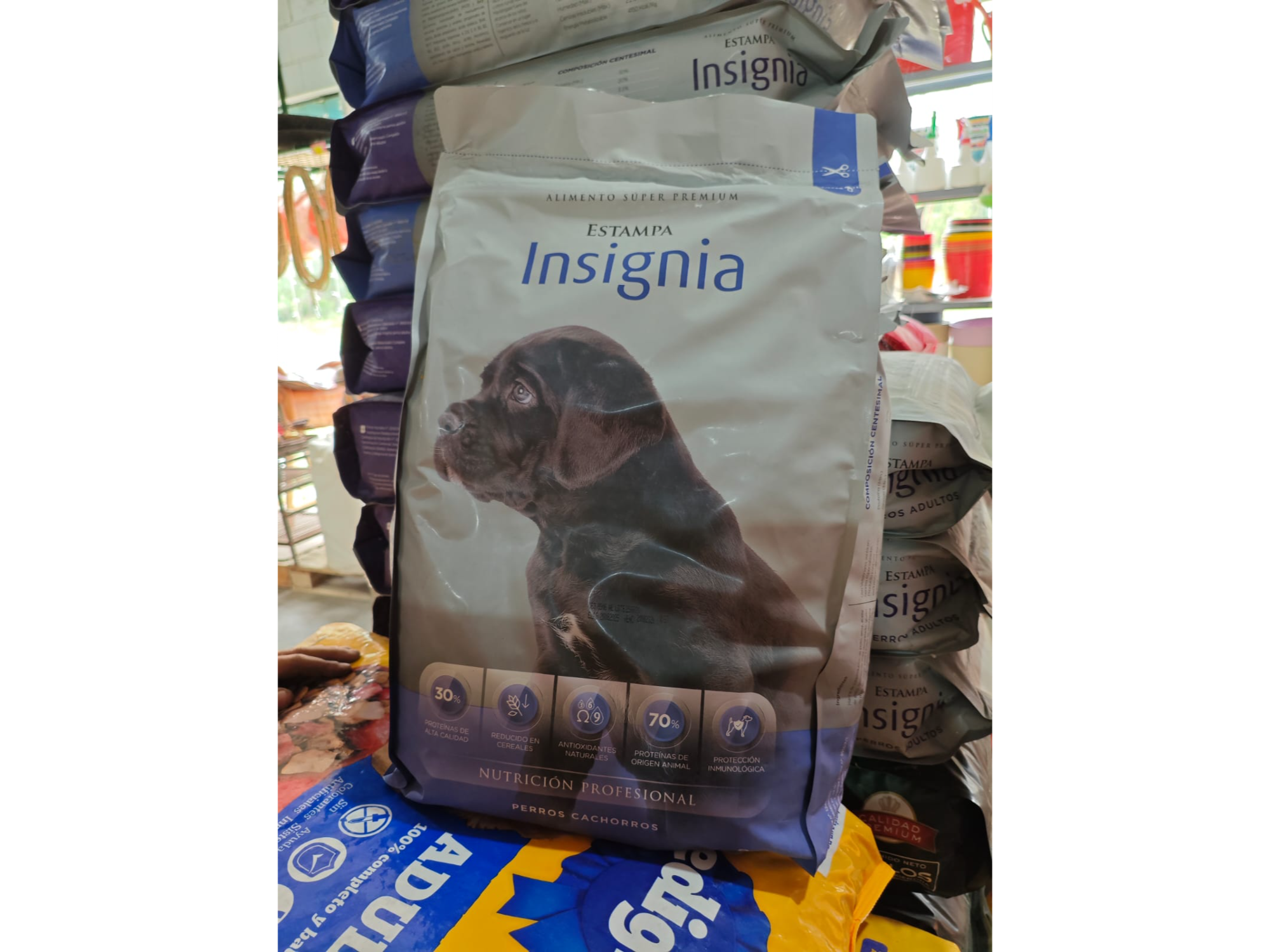 Estampa Insignia cachorro